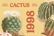 Bailey Retora Groovy Retro Serif, a Serif Font by timelesstype.co (Thumbnail 11 of 20)