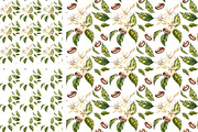 Coffee in botanical style, a Food Illustration by Ann Astro (Thumbnail 5 of 9)