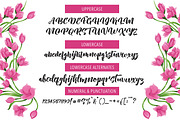 New Aprillia Script, a Script Font by Olexstudio (Thumbnail 5 of 6)