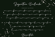 Signatura Onellander Handwritten, a Handwritten Font by Basnistudio (Thumbnail 13 of 14)