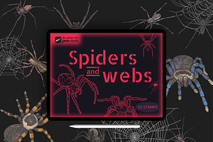 50 Procreate Spiders & Webs Stamps