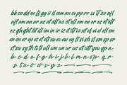 Heighaps Wastone Modern Brush Font, a Script Font by Letterena Studios Script (Thumbnail 14 of 20)