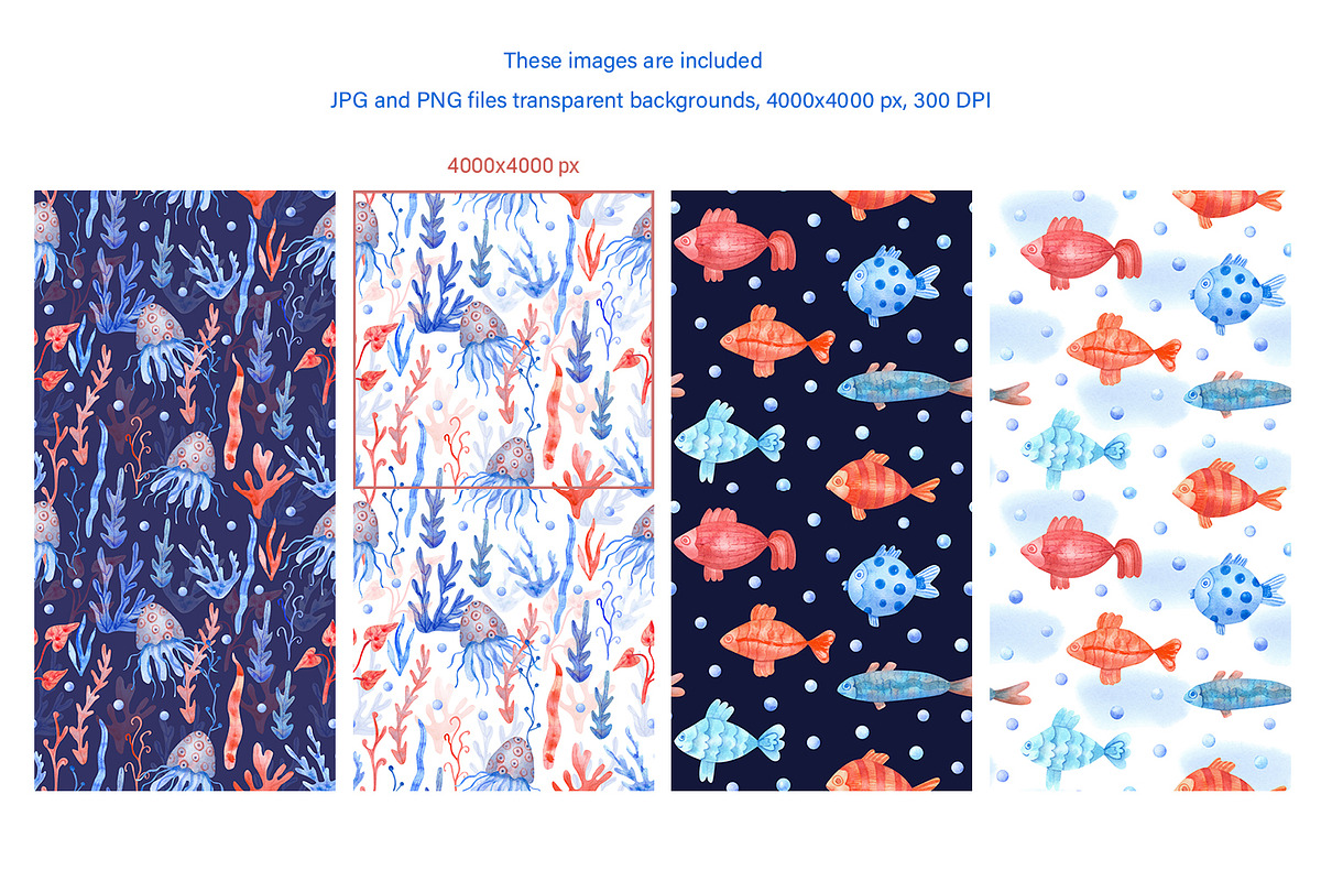 Nautical Mile Watercolor Collection, an Animal Illustration by Anna Druzhkova (Photo 14 of 30)