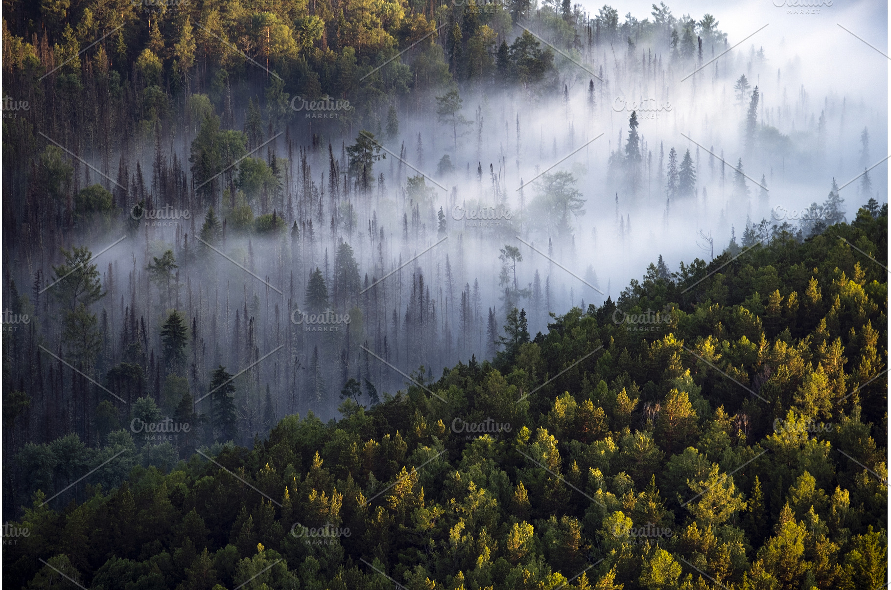 Fog in the mountain at dawn, a Nature Photo by mlinnikov