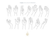 WILDFLOWER LINE ART, an Object Illustration by Kate Art (Thumbnail 11 of 22)