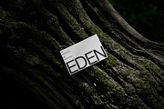 FORMAT EDEN BUSINESSCARD 02, a Product Mockup by Format Mockups (Thumbnail 2 of 3)