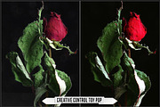 Leica Creative Controls Profiles, a Plug-in Add-On by Raztrend (Thumbnail 13 of 30)