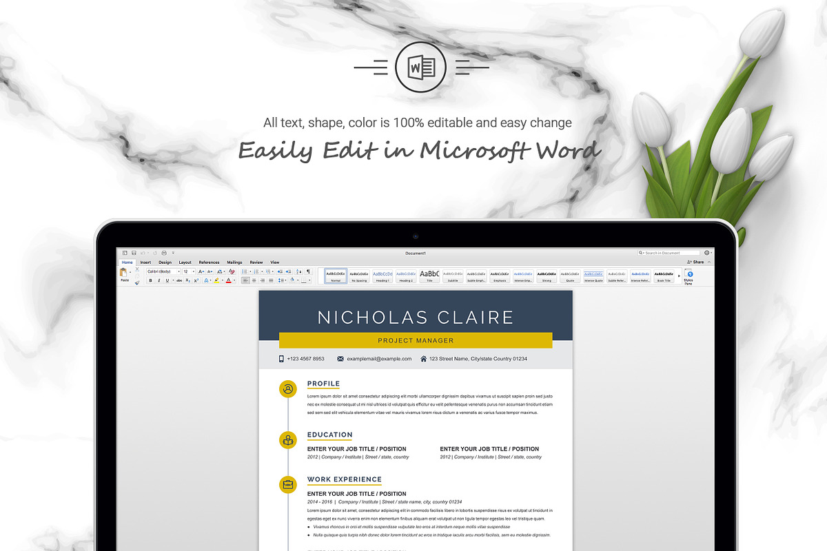 Project Manager Resume/CV Template, a Resume Template by ResumeInventor