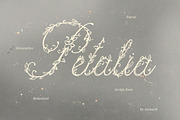 Petalia Decorative Floral Font, a Script Font by AnMark (Thumbnail 1 of 11)