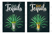 Tequila. Illustrations and posters, an Illustration by MoreVector (Thumbnail 8 of 11)