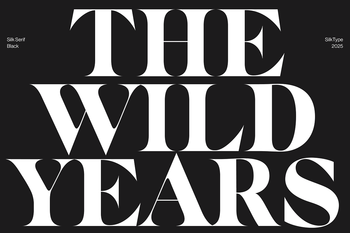 Silk Serif - 14 font family, a Serif Font by Silktype (Photo 13 of 17)