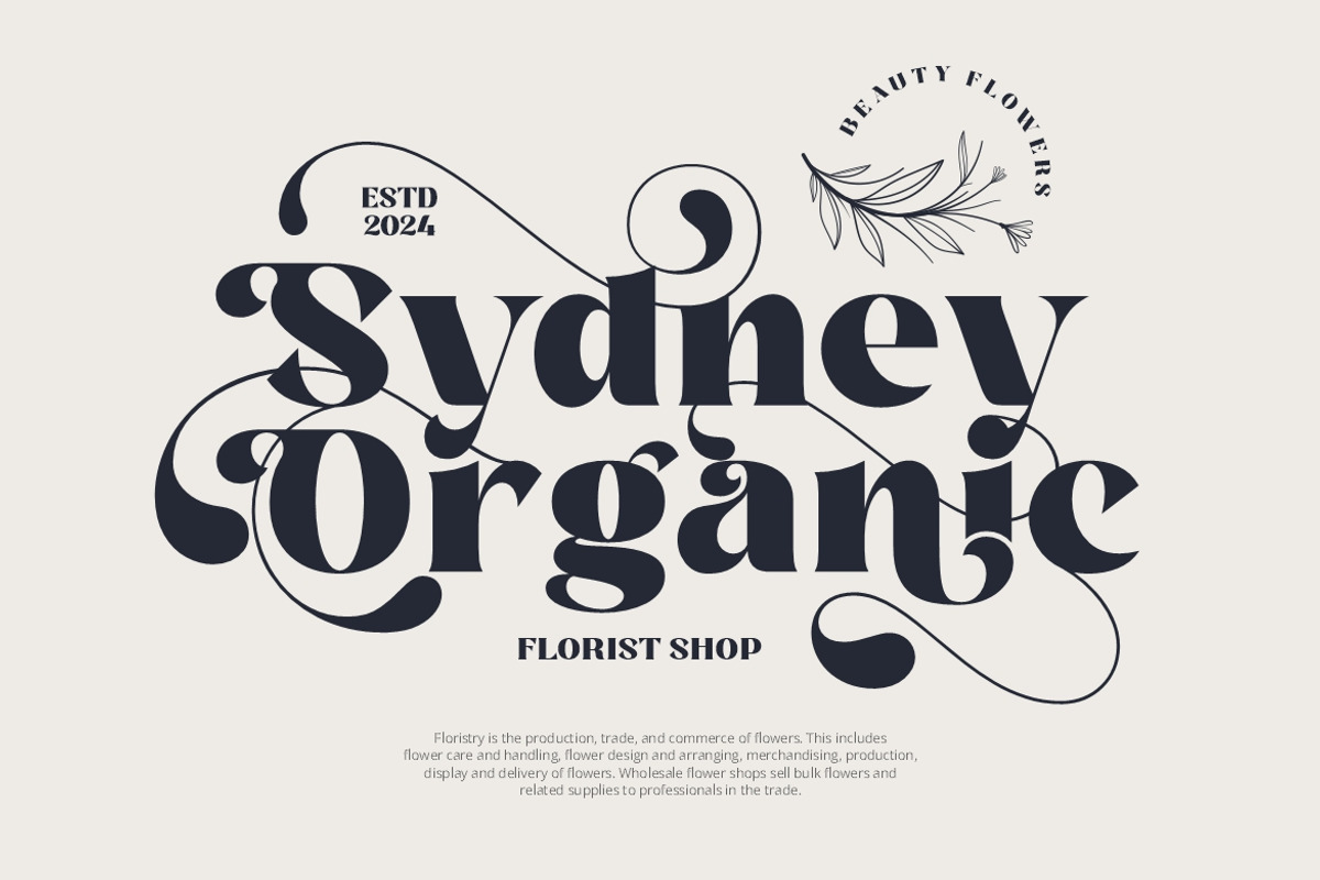 Molra Beauty | Elegant Serif Font, a Serif Font by HansCo Studio (Photo 7 of 12)