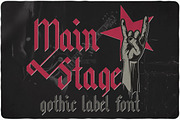 Main Stage typeface, a Script Font by VozzyStock (Thumbnail 1 of 5)