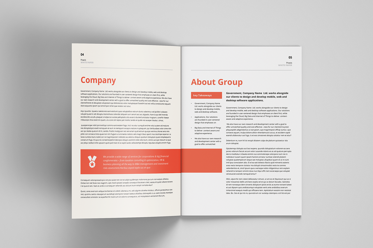 White Paper Template, a Brochure Template by azadcsstune (Photo 4 of 13)