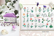 Botanical Wildflowers. Patterns, an Illustration by Diana Kovach (Thumbnail 3 of 11)