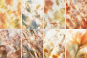 Blurry Floral Gradient Backgrounds, a Background Graphic by Kat Anti (Thumbnail 3 of 7)