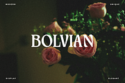 Meginer Nineties - Modern Serif, a Serif Font by Comactype Foundry (Thumbnail 16 of 22)