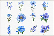 Watercolor Blue Meadow Flowers Clipa, an Illustration by Sublimation Artist (Thumbnail 3 of 6)