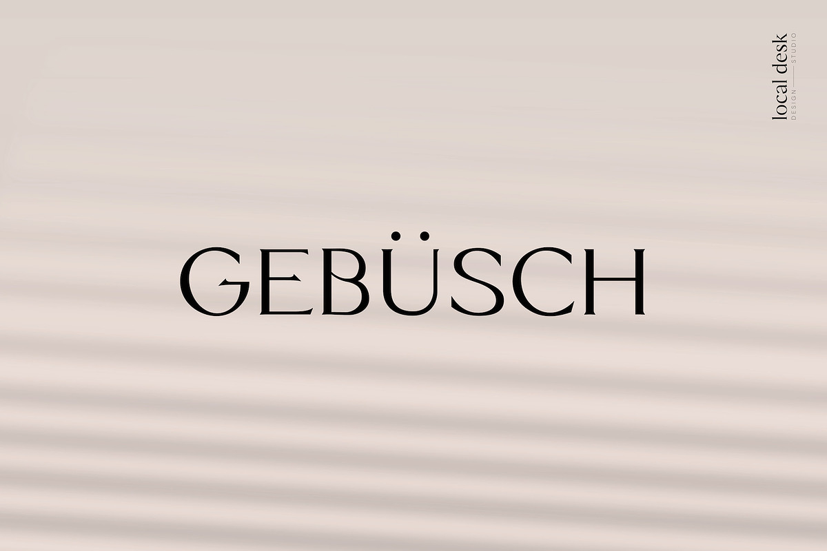 Rosaly – Fancy & Elegant Serif, a Serif Font by Local Desk Designstudio (Photo 3 of 24)