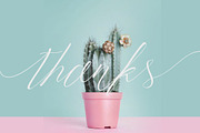 Trendencia Script, a Script Font by Dirtyline Studio (Thumbnail 10 of 10)