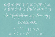 Brooklyn Girl, a Script Font by The Pen and Brush (Thumbnail 3 of 5)