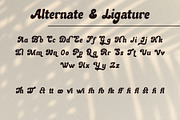 Rocky City - Retro Chunky Typeface, a Serif Font by Shakira Studio (Thumbnail 11 of 13)