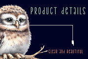 Baby owl watercolor clip art, an Illustration by CreationArt (Thumbnail 5 of 6)