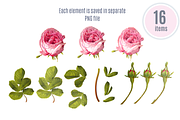 GARDEN ROSES|Wedding invitations, an Invitation Template by Purple-Bird (Thumbnail 5 of 5)