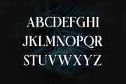 Griena Elegant Serif, a Serif Font by Maryamtype Studio (Thumbnail 14 of 15)