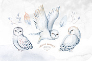 Arctic cute animals.  Watercolor set, an Animal Illustration by Peace ART (Thumbnail 3 of 22)