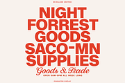 BN Hillside Grotesk, a Sans Serif Font by Bnick (Thumbnail 6 of 14)