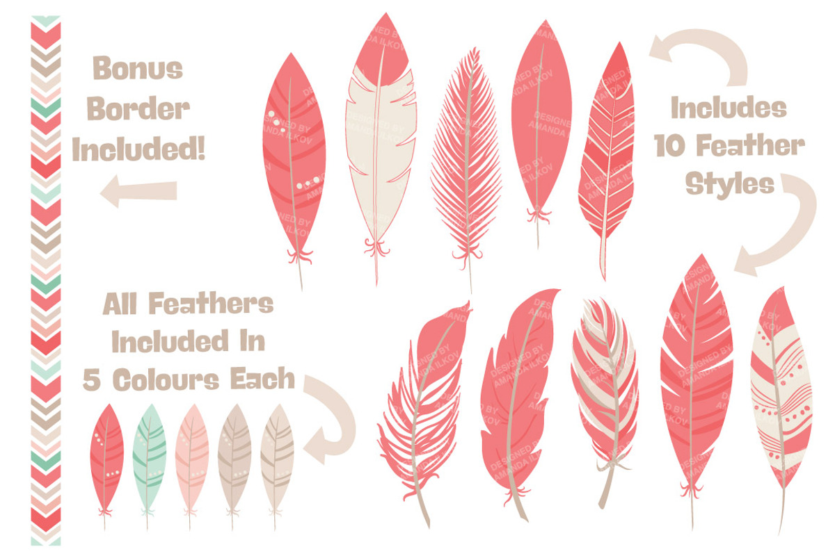 Mint & Coral Feathers Clipart, an Illustration by Amanda Ilkov (Photo 2 of 4)