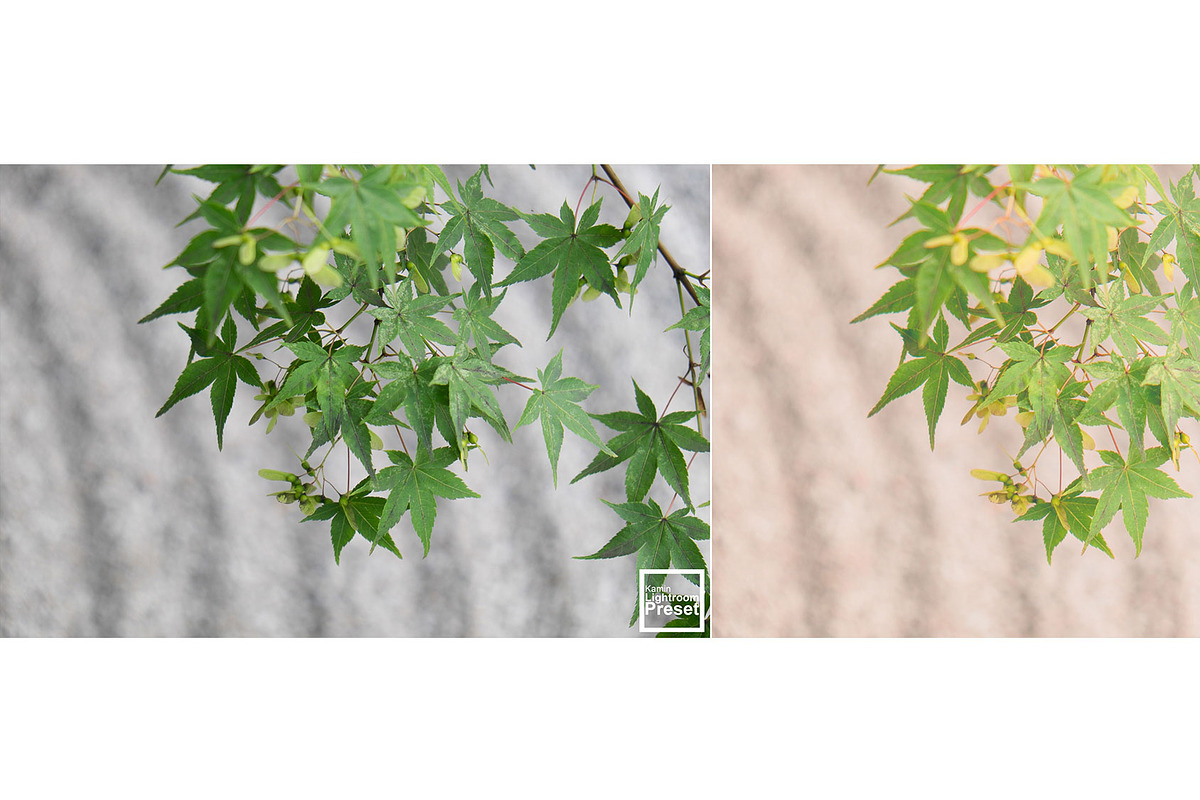Kamin Japan Mood 2, an Action Add-On by Kamin Lightroom Preset (Photo 12 of 22)