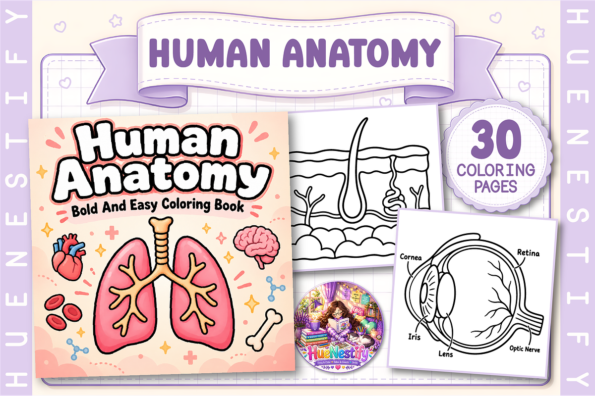 Human Anatomy Coloring Book, an Education Illustration by HueNestify (Photo 1 of 4)