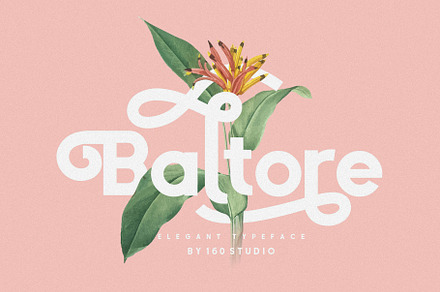 Baltore, a Sans Serif Font by 160 Studio