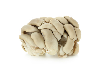 Tasty oyster mushrooms isolated on white  background, a Food & Drink Photo by AtlasStudio PRO