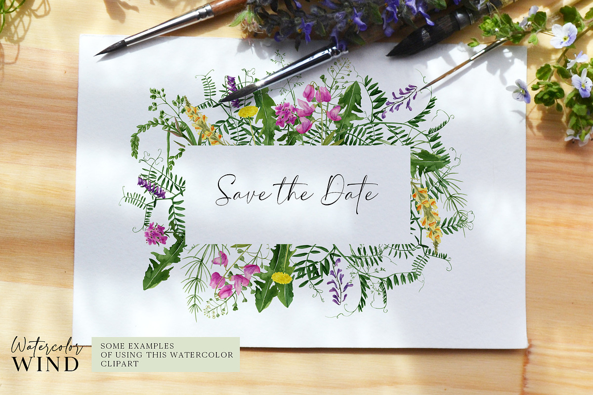 Wild floral clipart meadow flowers, an Illustration by Ksenia Shmakova (Photo 10 of 11)