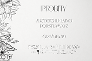 Probity - Creative serif font + more, a Serif Font by VP Fonts (Thumbnail 12 of 22)