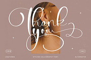 Tamylors Landry Stylish Calligraphy, a Script Font by stylishtype.co (Thumbnail 20 of 20)