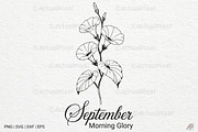 Birth Month Flowers SVG PNG Bundle, an Illustration by Actual Pixel (Thumbnail 6 of 24)