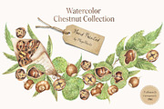 Watercolor Chestnut Set, a Food Illustration by MayaNavits (Thumbnail 7 of 7)