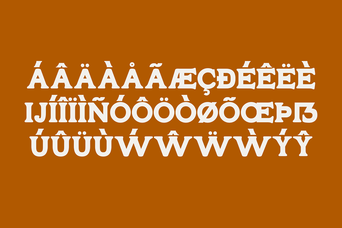 Chonky Fonty | A chunky display, a Serif Font by OneTen The Studio (Photo 3 of 9)