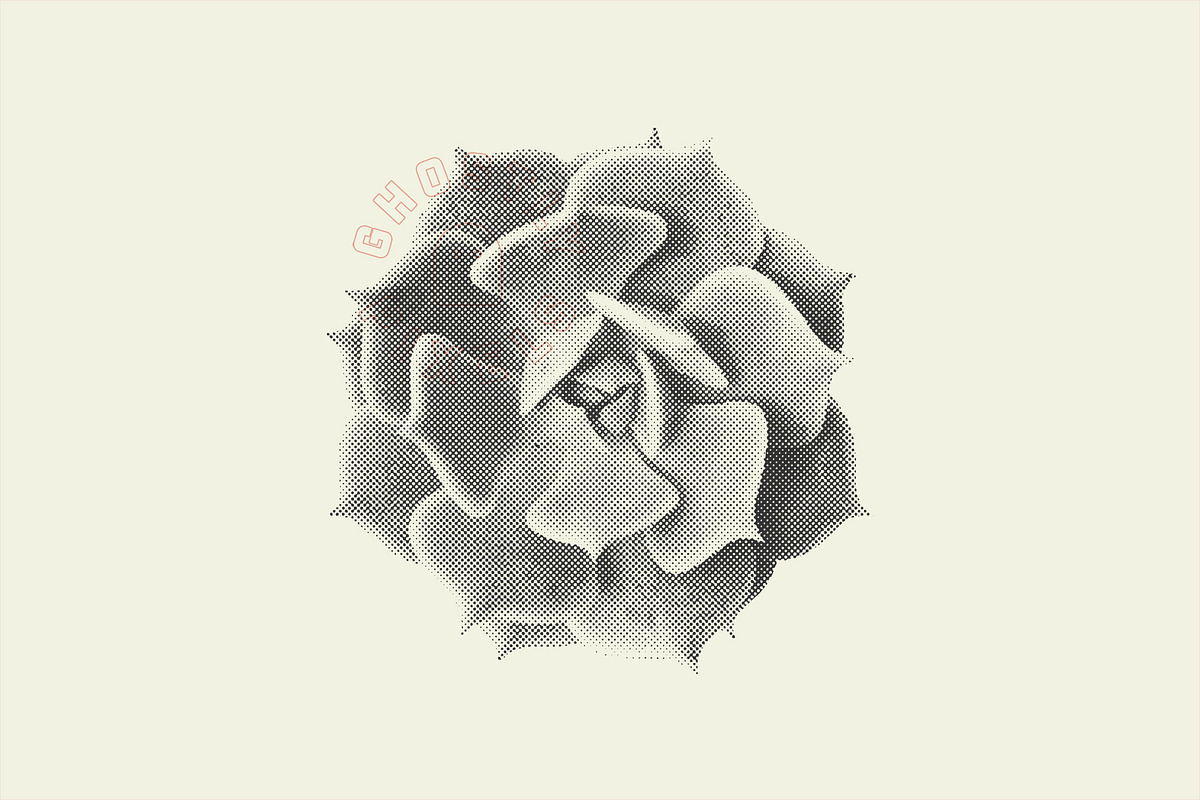 Succulent Halftones, a Texture Graphic by GhostlyPixels (Photo 5 of 13)
