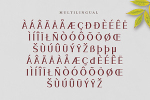 Meramoon - Display Serif Fonts