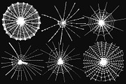 Spider Web 6 Pack, a Decorative Illustration by UoaHH (Thumbnail 2 of 2)