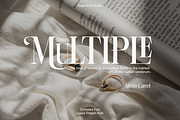 Orchestra - Modern Elegant Serif, a Serif Font by RagamKata (Thumbnail 11 of 13)