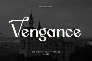 Vengance Luxury Sans Serif, a Sans Serif Font by Artiveko