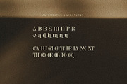 Rain Amoury - Elegant Font, a Serif Font by Salamahtype (Thumbnail 7 of 7)