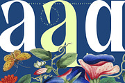 Glowfor Modern Serif Display Font, a Serif Font by timelesstype.co (Thumbnail 13 of 20)