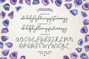 Violetta Font Pack, a Script Font by Sam Parrett (Thumbnail 7 of 8)